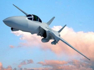 f14 tomcat fighter jet 3D Model