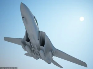 f14 tomcat fighter jet 3D Model