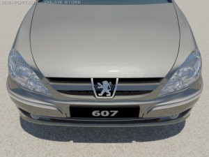 peugeot 607 3D Model