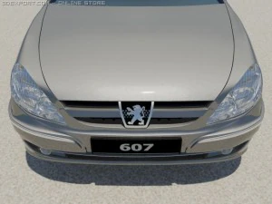 peugeot 607 3D Model