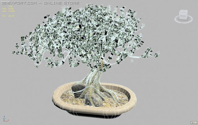 dimkrabonsai 3D Модель .c4d .max .obj .3ds .fbx .stl .blend 