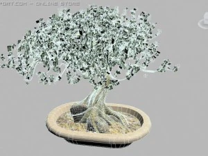 dimkrabonsai Model 3D