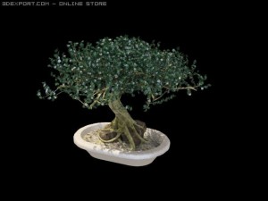 dimkrabonsai 3D Модель
