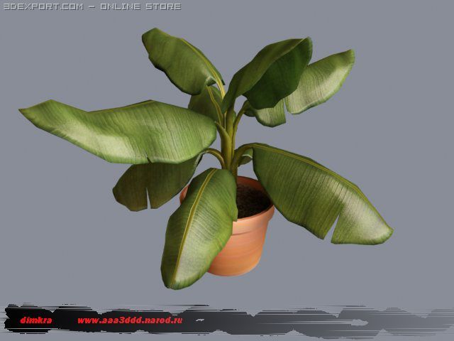 dimkrabananaplant Model 3D .c4d .max .obj .3ds .fbx .stl .blend 