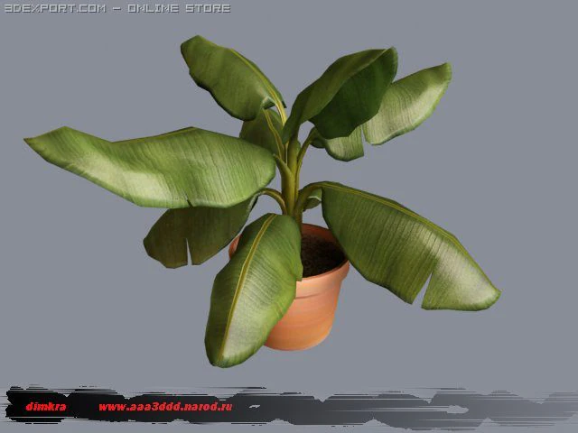 dimkrabananaplant 3D Model .c4d .max .obj .3ds .fbx .stl .blend