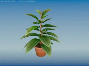 kauczuk dimkra Model 3D