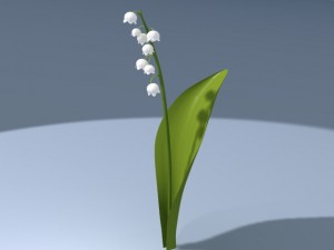 lily of valley 3D Модель