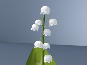 lily of valley Modelo 3D