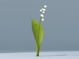 lily of valley Modelo 3D