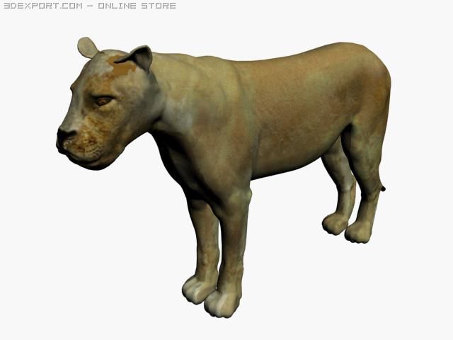 lion Modelo 3D .c4d .max .obj .3ds .fbx .stl .blend 