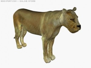 lion Modelo 3D
