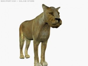 lion Modelo 3D