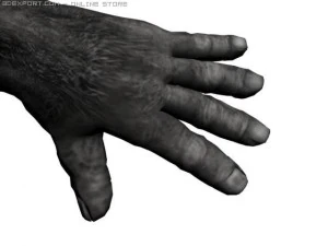 горила 3D Модель