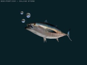 bluefin tuna 3D Модель