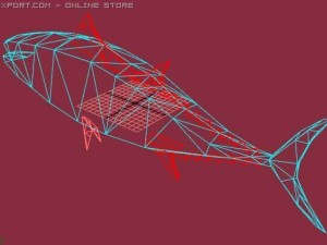 bluefin tuna 3D Model