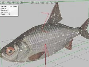 um pequeno peixe de rio Modelo 3D