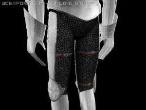 armature dei cavalieri Modello 3D