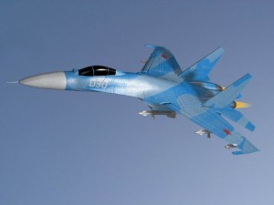 su27 flanker 3D Model