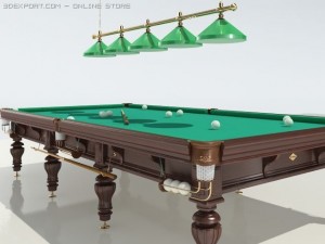 russian billiards 3Dモデル