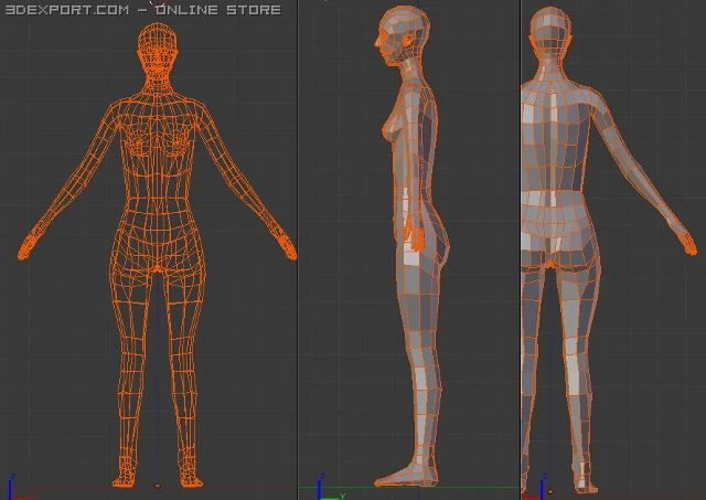 female human low poly 3D Model .c4d .max .obj .3ds .fbx .stl .blend 
