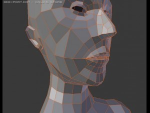female human low poly 3D 모델