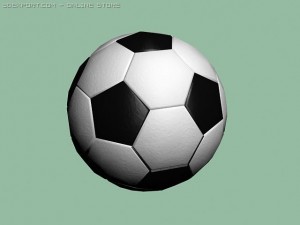 football ball(model1) 3Dモデル