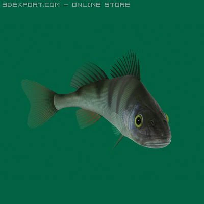 perch 3D Model .c4d .max .obj .3ds .fbx .stl .blend 