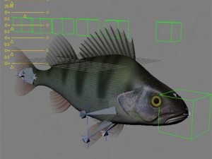 perch 3D-Modell