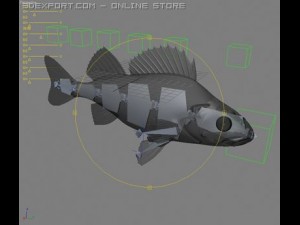 perch 3D-Modell