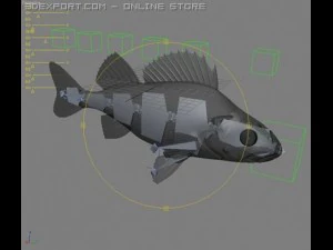 perch 3D Model
