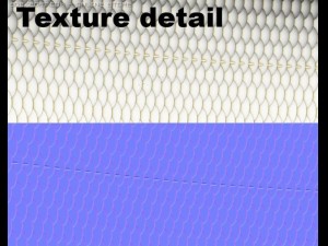 rutilus rutilus 3D Модель