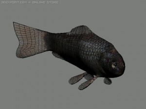 fish Modèle 3D