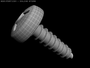 screw Modello 3D
