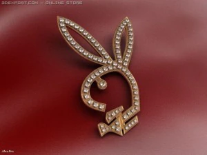 jewellery playboy 3D Model