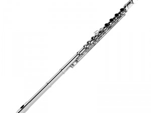 flute Modelo 3D