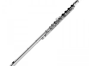 flute 3D Model