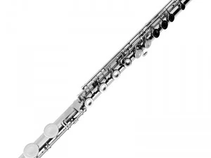 flute 3D Model