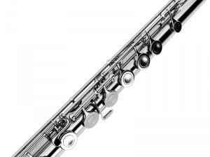 flute 3D Model