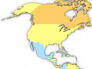 Political world map Modello 3D