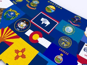 Us political map with counties 3D Model