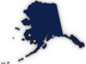Alaska political map 3D Model