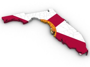 Florida political map Modèle 3D