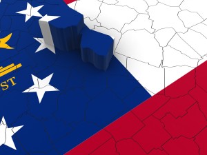 Georgia political map 3D Модель
