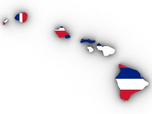 Hawaii political map Modelo 3D
