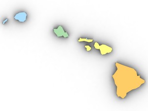 Hawaii political map Modelo 3D