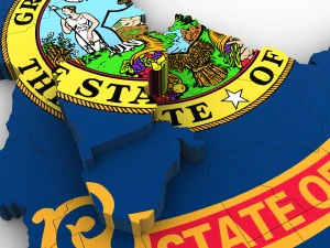 Idaho political map 3D Model
