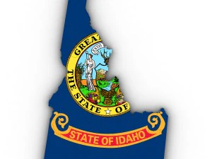 Idaho political map 3D Model