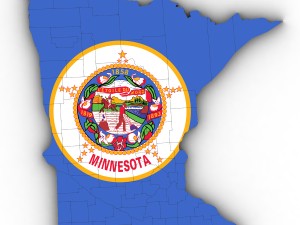 Minnesota political map 3D Model