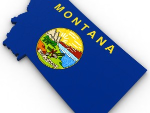 Montana political map 3D 模型