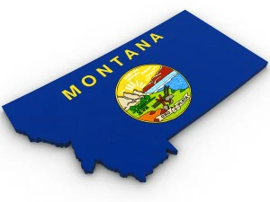 Montana political map 3D Model